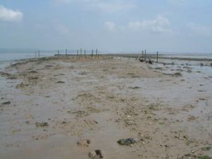 Severn Estuary (Pictures are property of Natural Resources Wales)