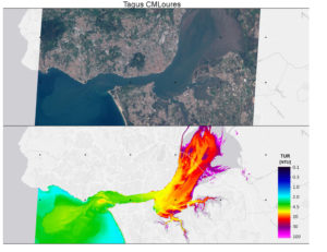 Distribution of turbidity (measured in NTU) inside the four estuaries under invenstigation.